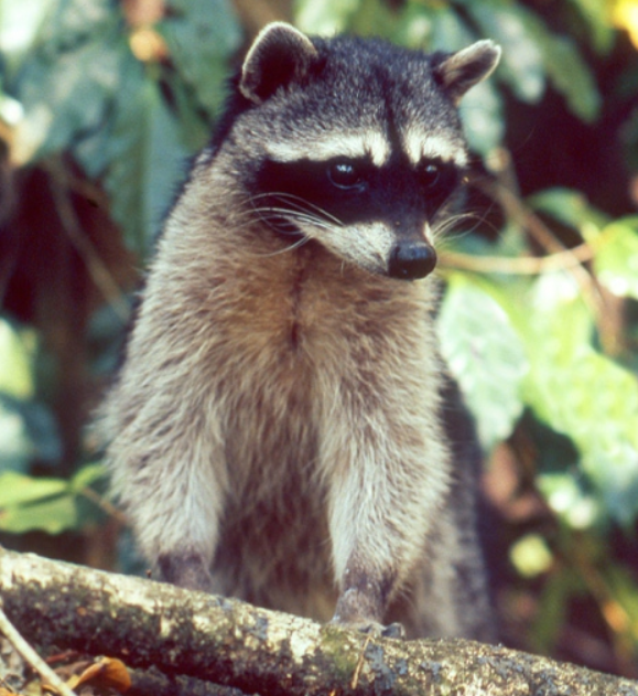 Hemliga resor 1-7 dagars 2025